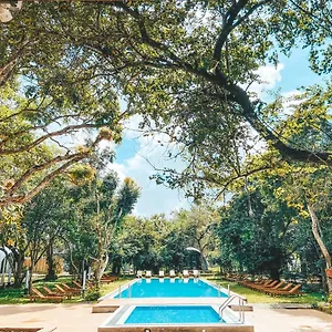 Nivadoo Sri Lanka